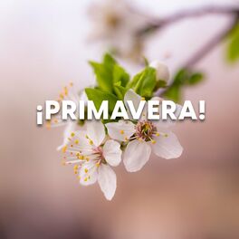 Album cover of ¡Primavera!
