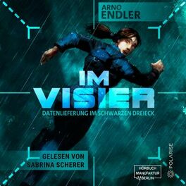 Album cover of Im Visier - Datenlieferung im Schwarzen Dreieck (ungekürzt)