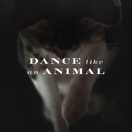 Album cover of Dance Like an Animal