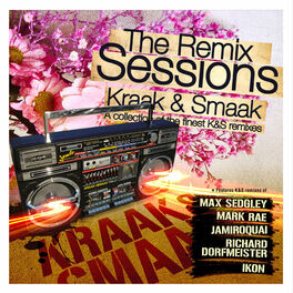 Album cover of The Remix Sessions