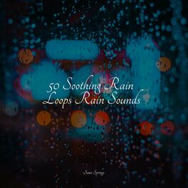 Album cover of 50 Soothing Rain Loops Rain Sounds