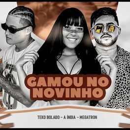 Album cover of Gamou no Novinho