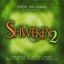 Album cover of Shwekey, Vol. 2