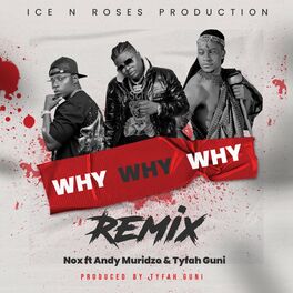 Album cover of Why Why Why Remix