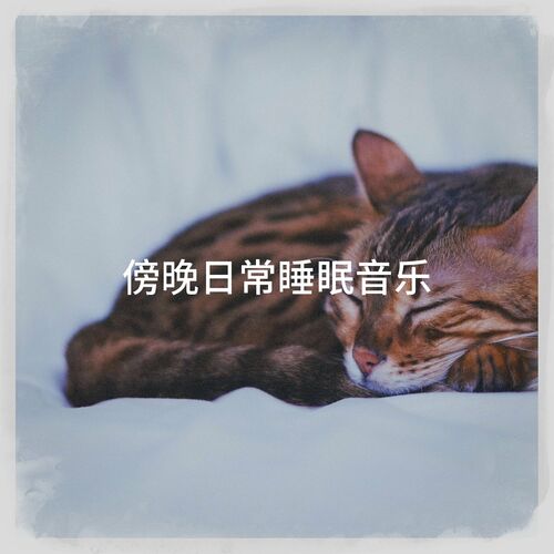 Schlaflieder Player 傍晚日常睡眠音乐 Lyrics And Songs Deezer