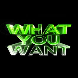 Album cover of What you want