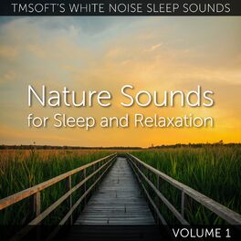 Album cover of Nature Sounds for Sleep and Relaxation Volume 1