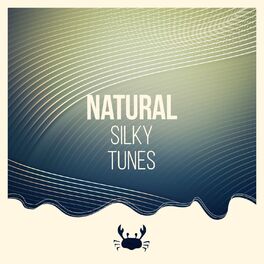 Album cover of Natural Silky Tunes