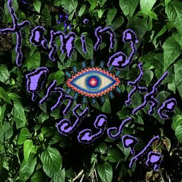 Album cover of Taming the Amygdala