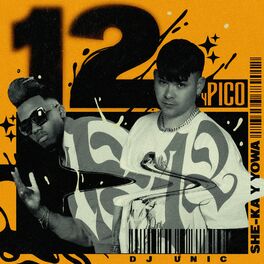 Album cover of 12 y Pico