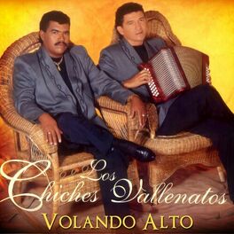 Album cover of Volando Alto