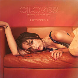 Album cover of Bringing The House Down (Stripped)
