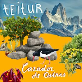 Album cover of Cazador De Ostras