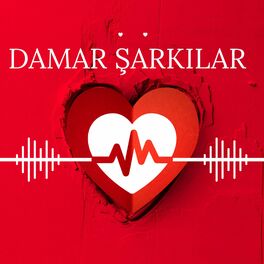 Album cover of Damar Şarkılar