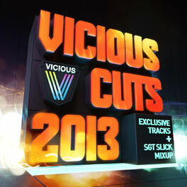 Album cover of Vicious Cuts 2013