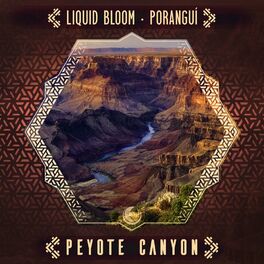 Album cover of Peyote Canyon