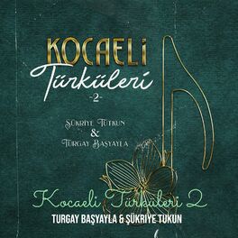 Album cover of Kocaeli Türküleri 2