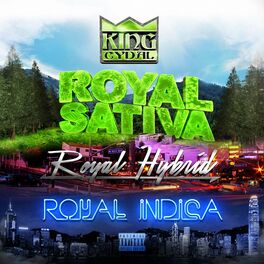 Album cover of Royal Sativa / Royal Hybrid / Royal Indica