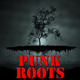 Album cover of Punk Roots, Vol.1