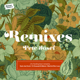 Album cover of The Travelling Song Remixes