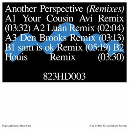 Album cover of another perspective (Remixes)