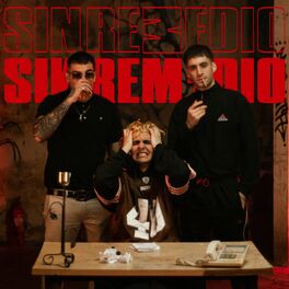 Album cover of Sin remedio