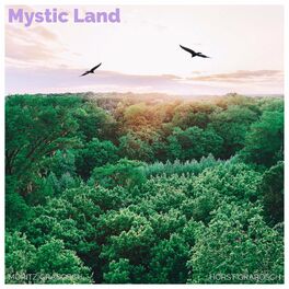Album cover of Mystic Land
