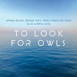Album cover of To Look for Owls