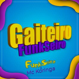 Album cover of Gaiteiro Funkseiro