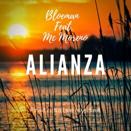 Album cover of Alianza (feat. Mc Moreno)