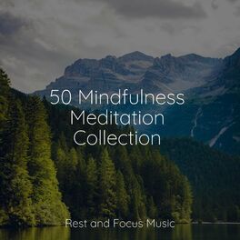 Album cover of 50 Mindfulness Meditation Collection