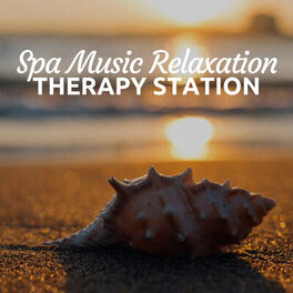 Album cover of Spa Music Relaxation Therapy Station - 30 Wellness Songs