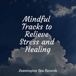 Album cover of Mindful Tracks to Relieve Stress and Healing