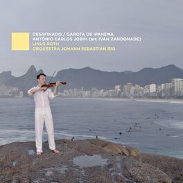 Album cover of Desafinado / Garota de Ipanema (Arr. by Ivan Zandonade)