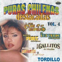 Album cover of Puras Chilenas Destacadas, Vol. 4
