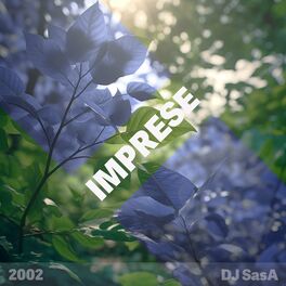 Album cover of Imprese