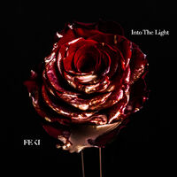 polarheart enigma album