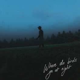 Album cover of Where Do Birds Go At Night?