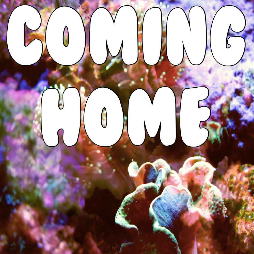 Coming home tonight. Hooligan dennis brown. Coming home tonight. Coming home tonight. Roger and out.