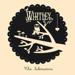 Album cover of The Submarine