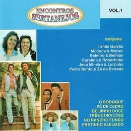 Album cover of Encontros Sertanejos