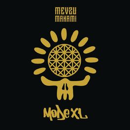 Album cover of Mevzu Makamı