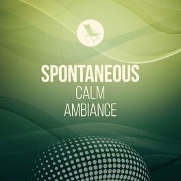 Album cover of Spontaneous Calm Ambiance