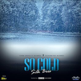 Album cover of So Cold