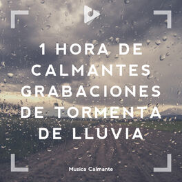 Album cover of 1 Hora de Calmantes Grabaciones de Tormenta de Lluvia