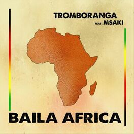 Album cover of Baila Africa