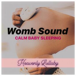 Album cover of Womb Sound: Calm Baby Sleeping