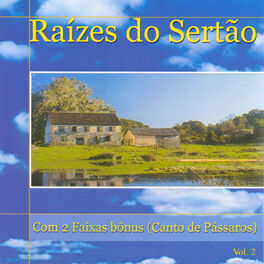 Album cover of Raizes do Sertao, Vol. 2