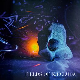 Album cover of Fields of Næcluda