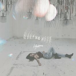 Album cover of Wanting More